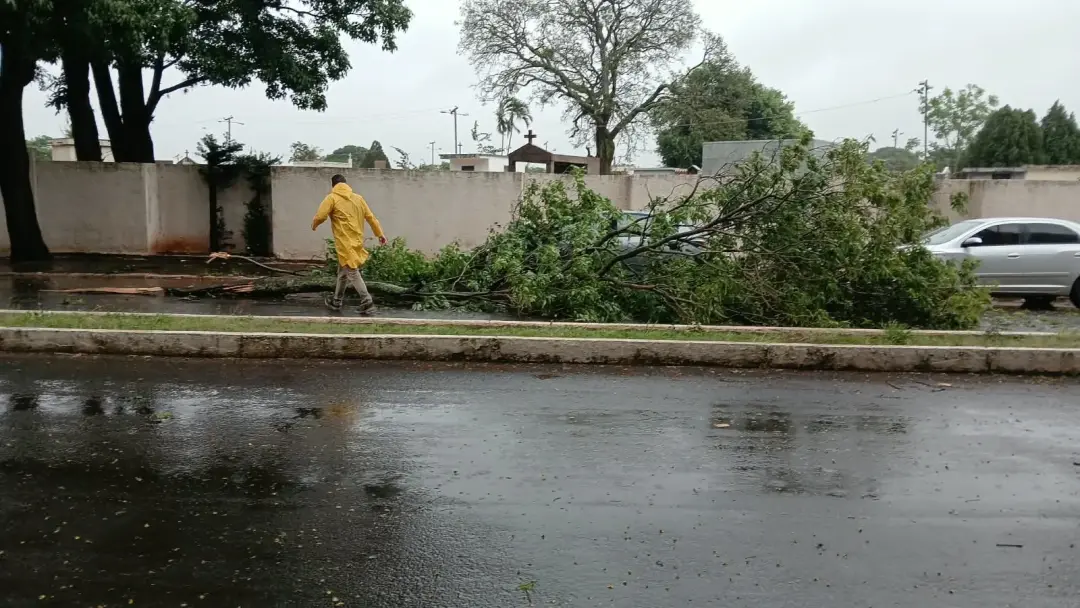 Vinte e sete ocorrências do Corpo de Bombeiros foram registradas no oeste paulista, com destaque para queda de árvores.…