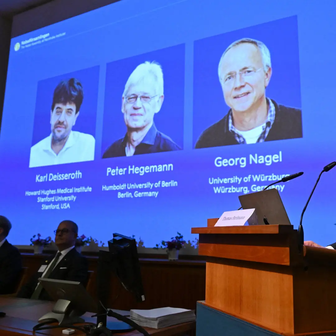 Karl Deisseroth, Peter Hegemann e Georg Nagel ganharam o Prêmio Nobel por seus trabalhos em canais iônicos controlados …