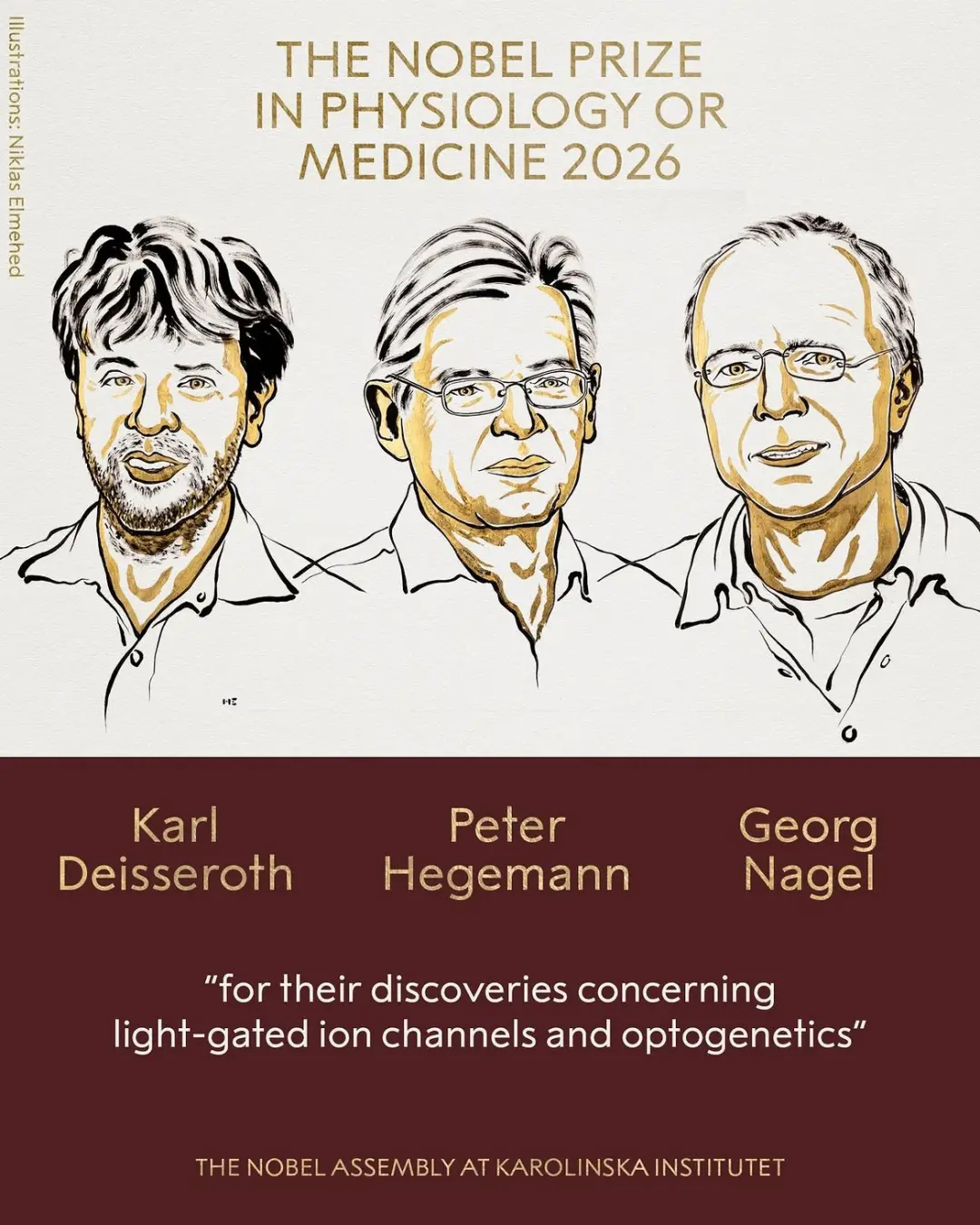 Nobel de Medicina 2026 foi para Karl Deisseroth, Peter Hegemann e Georg Nagel por descobertas sobre optogenética. Essa …