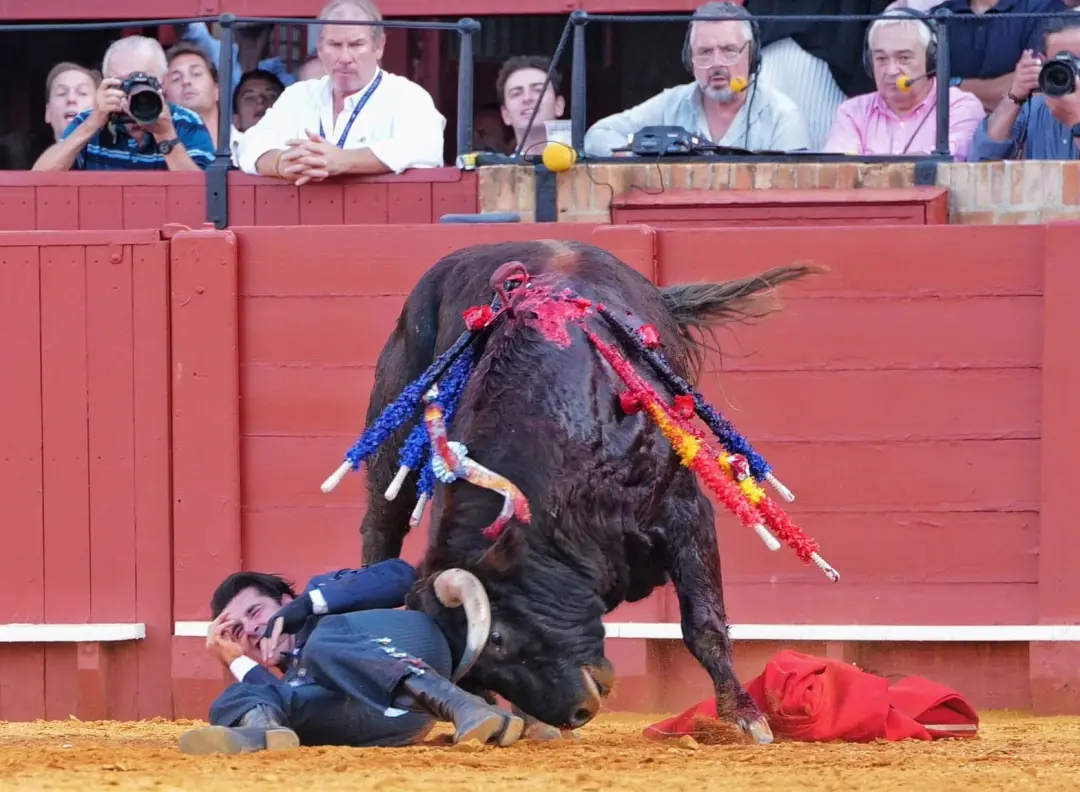 Alejandro Talavante sofreu um ferimento grave com asto de touro no festival que encerrou a temporada sevillana em La Ma…