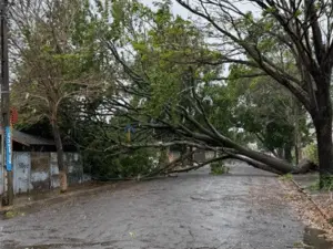 Chuva causou duas mortes no interior de SP e a Defesa Civil emitiu alerta. Situações assim mostram a fragilidade da inf…