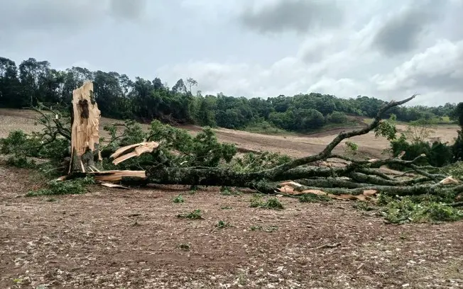 Quatro cidades do Rio Grande do Sul tiveram locais de votação sem energia na madrugada deste domingo. O temporal afetou…