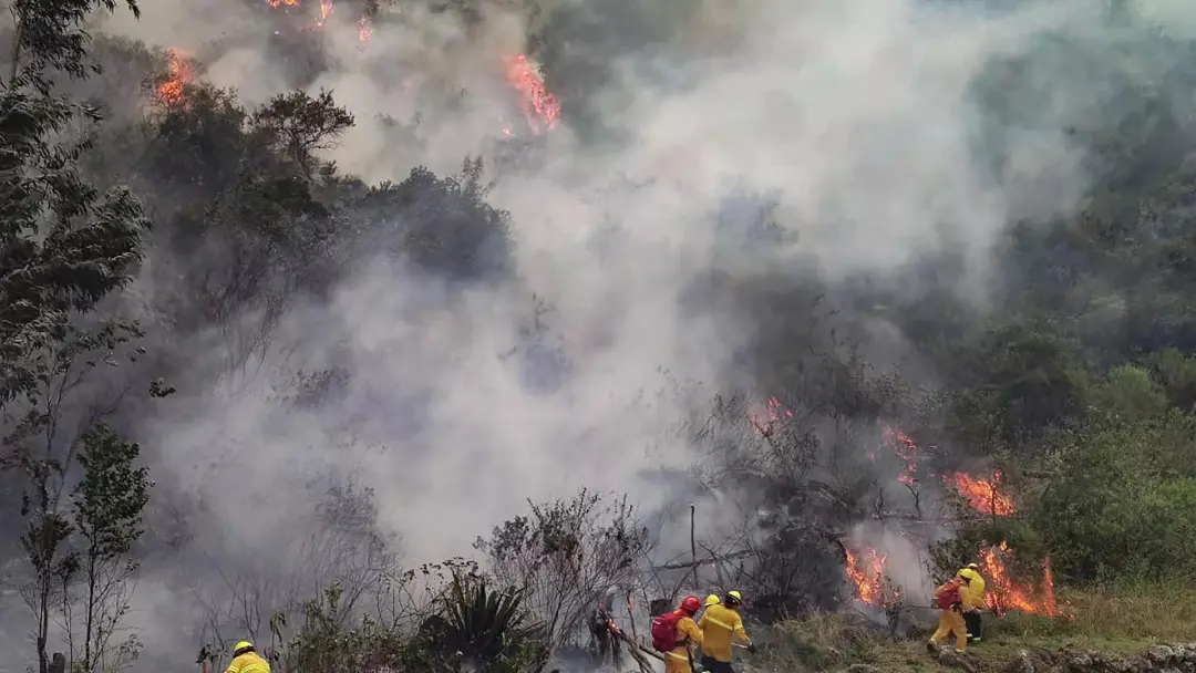 Machu Picchu, no sul do Peru, viu seu acesso ameaçado por um incêndio florestal que resultou em um morto e dois feridos…