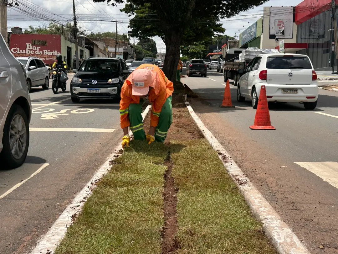 104 mil m2 de grama foram plantados em Goiânia. Essa área ajuda a absorver água e diminui ilhas de calor na cidade. No …