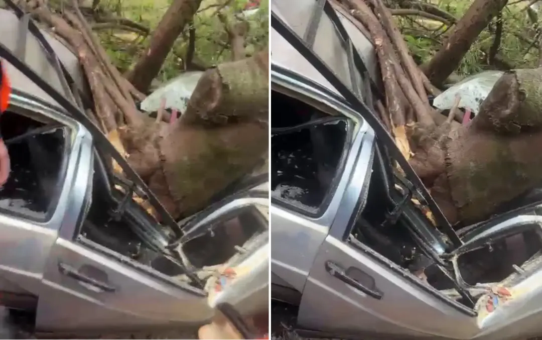 Jaboticabal, SP, um homem morreu depois que uma árvore caiu sobre um veículo domingo. A gente sabe que o tempo instável…