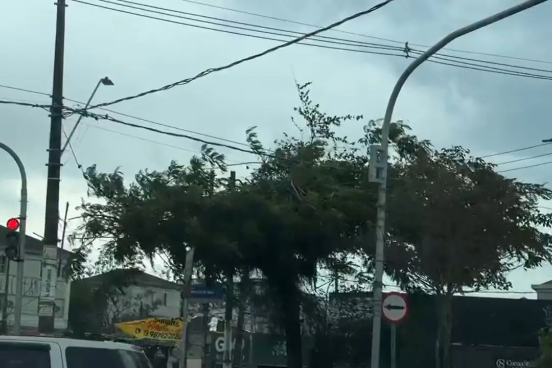 Alerta severo da Defesa Civil avisou a Baixada Santista sobre chuva, raios e ventania neste domingo. É um cenário que e…