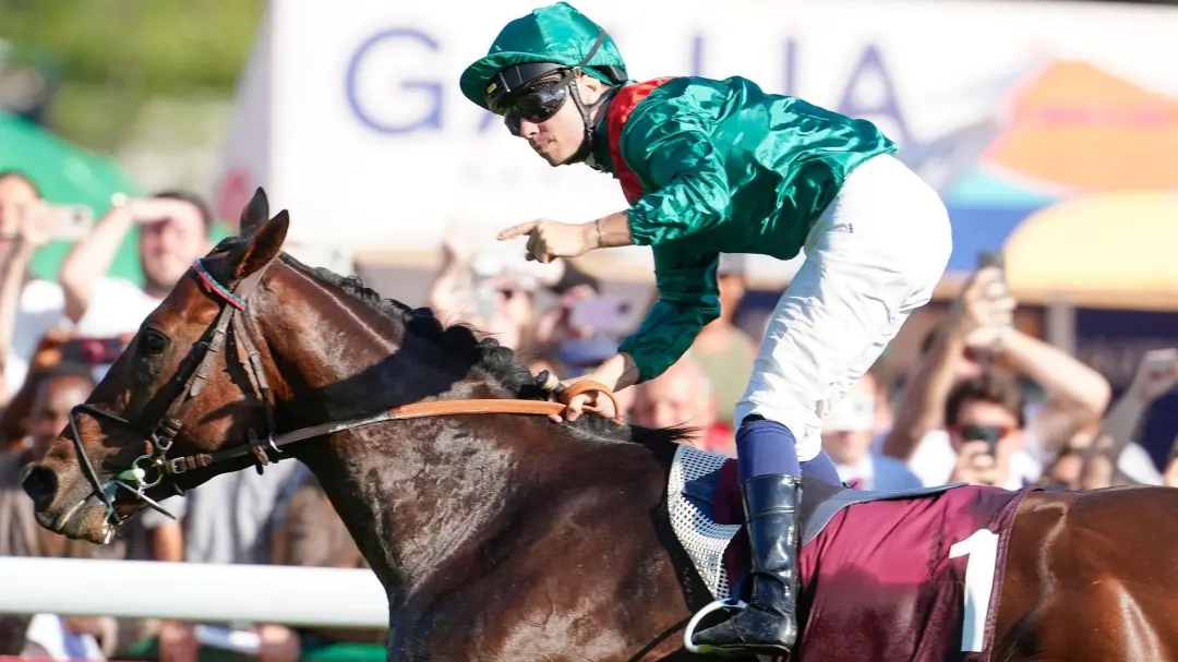 Daryz venceu o Prix de l'Arc de Triomphe pela segunda vez, superando Minnie Hauk no final da corrida. É impressionante …