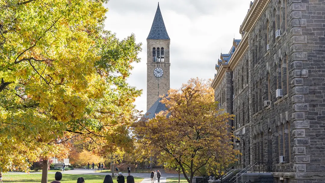 Sete irmãos de uma fraternidade em Cornell tiveram punições que iam de expulsão imediata a redação de um ensaio reflexi…