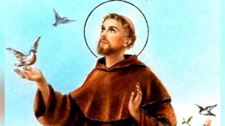 Dia 4 de outubro é dedicado a São Francisco de Assis, figura conhecida pelo cuidado com a natureza. Entender a criação …