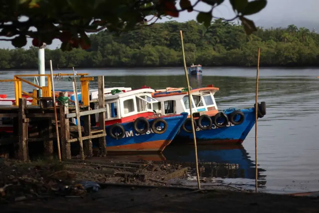 Ilha Diana, a 8 quilômetros de Santos, exige barco para votar nas Eleições 2026. A travessia será gratuita para os 177 …