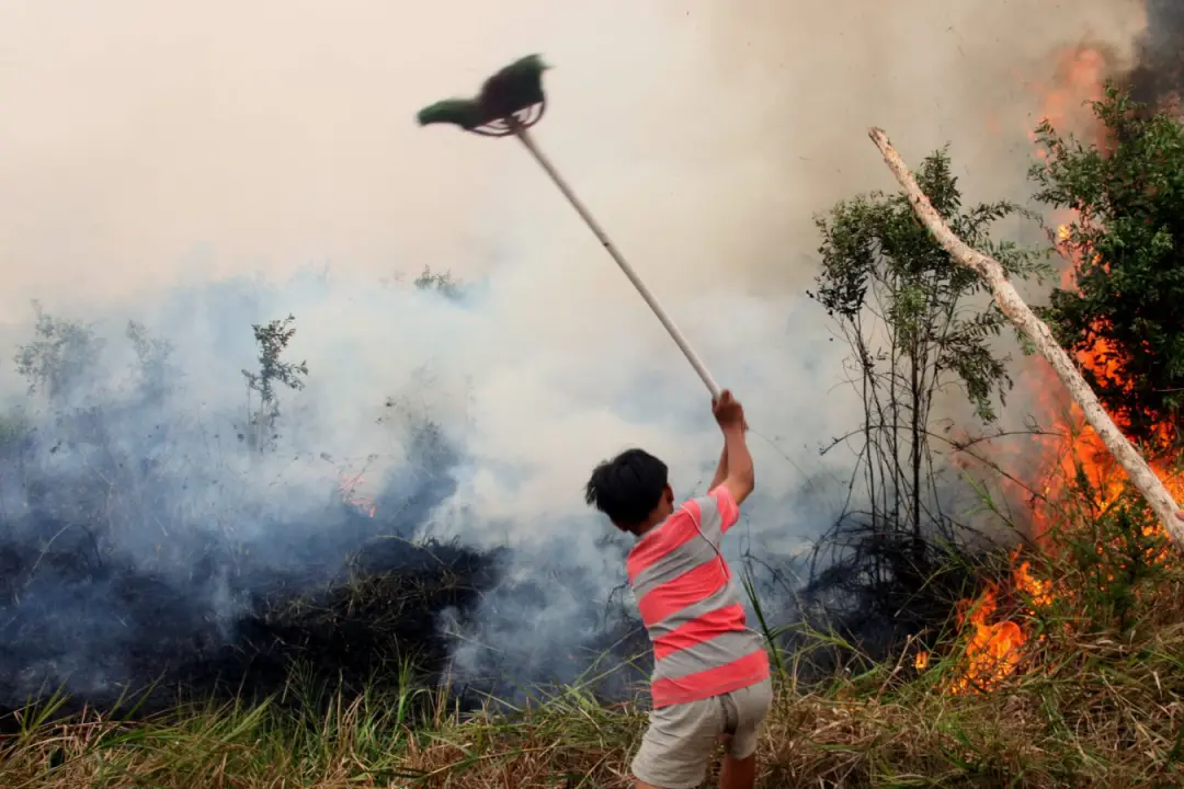 Recorde de El Niño prevê eventos extremos como queimadas, deslizamentos e branqueamento de corais. A falta de preparo m…