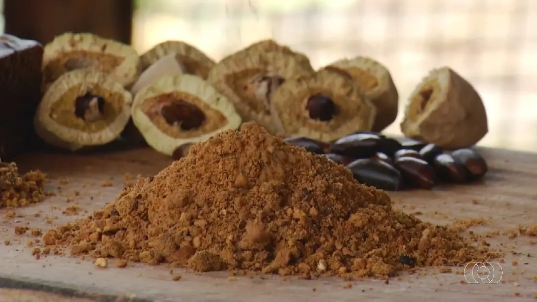 Lázaro e Arminda, produtores rurais, ensinam paçoca de baru usando a castanha do Cerrado há mais de 20 anos. Essa tradi…