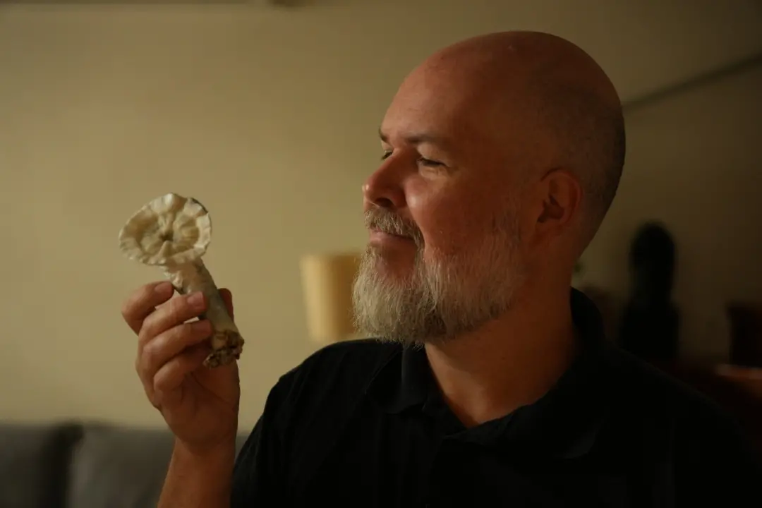 Filme brasileiro aborda a redescoberta científica de substâncias como ayahuasca, LSD e cogumelos. O filósofo Mark Colli…