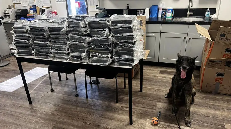 Otis, o cão da polícia, ajudou a apreender uns 440 libras de cocaína num ponto de checagem em Alhambra. A quantidade ab…