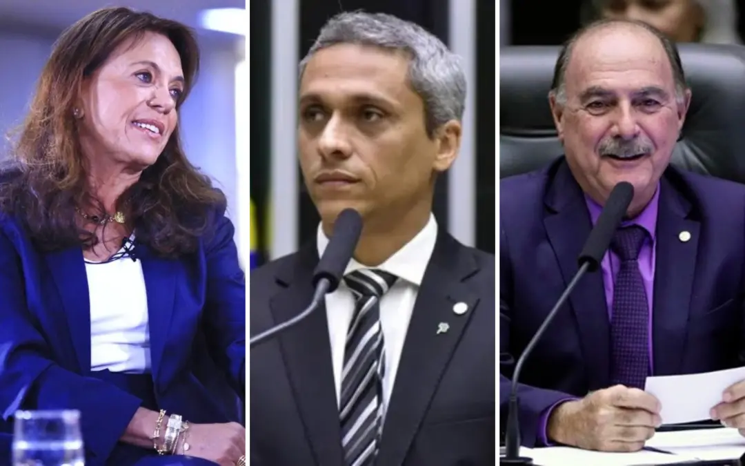Gracinha Caiado lidera a Quaest no Senado em Goiás com 30% dos votos válidos. É bom ver que a participação popular tá a…