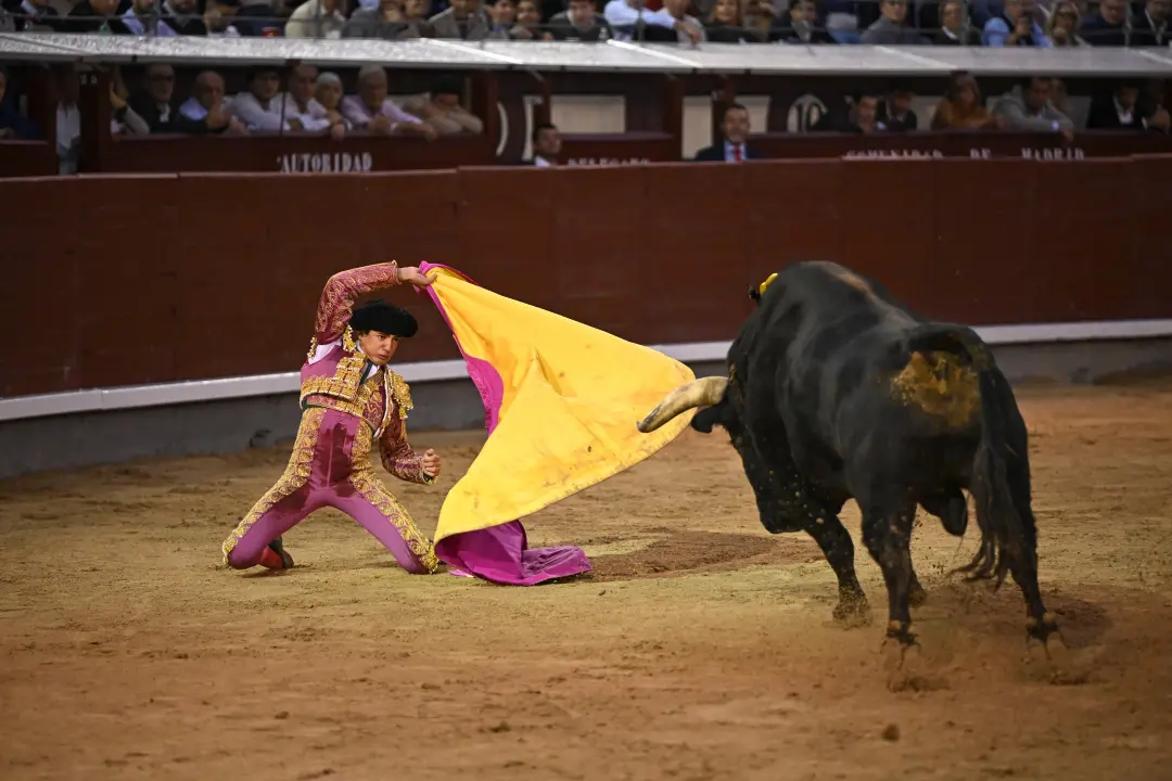 Plaza de Las Ventas viu gente agindo como tribunal contra Marco Pérez, que confirmava a alternativa de toureiro. A indi…