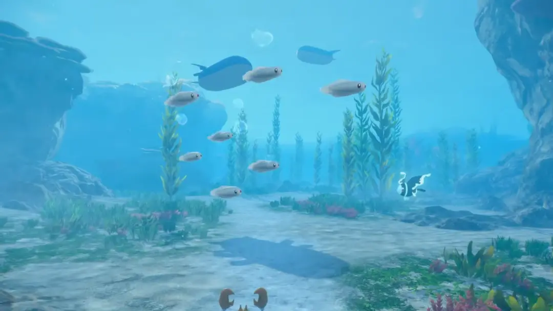 Mapa do jogo Pokémon Winds & Waves com tamanho sugerido por fãs, sem confirmação oficial até agora. Fico na dúvida se a…