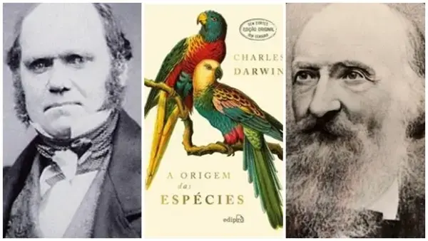 Fritz Müller e Charles Darwin trocaram cartas por quase 20 anos. A admiração mútua entre o naturalista alemão e Darwin …