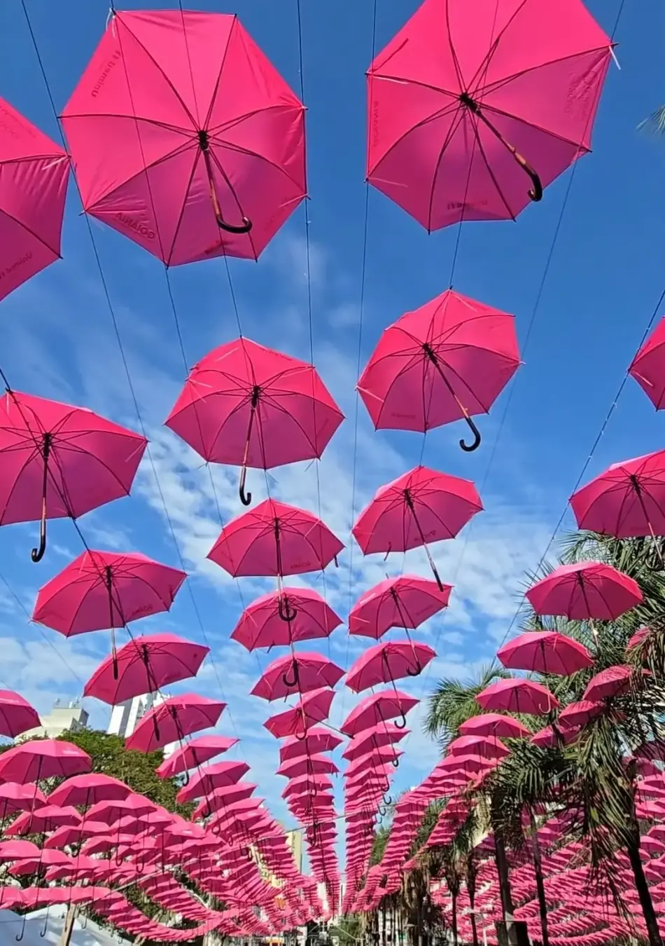 Praça Tamandaré recebeu ação do Outubro Rosa no sábado, 17, com túnel de guarda-chuvas rosa e encontro com profissionai…