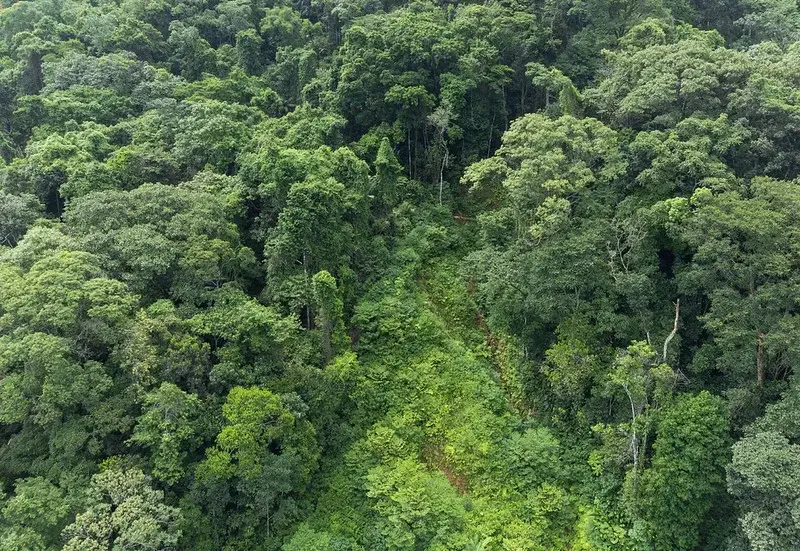 Inscrições abertas para o Desafio Global de Sustentabilidade na América do Sul, organizado pela Unesp. É uma oportunida…