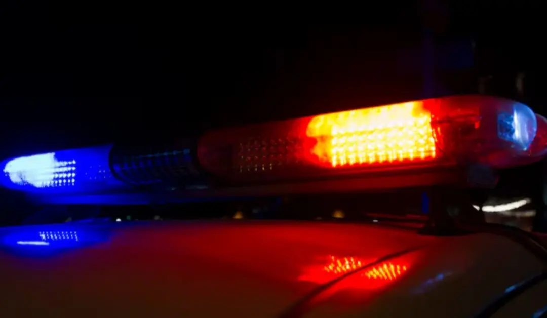 Capitão Poço, no Pará, um casal foi encontrado morto sobre a cama com marcas de tiros. É sempre um choque ver violência…