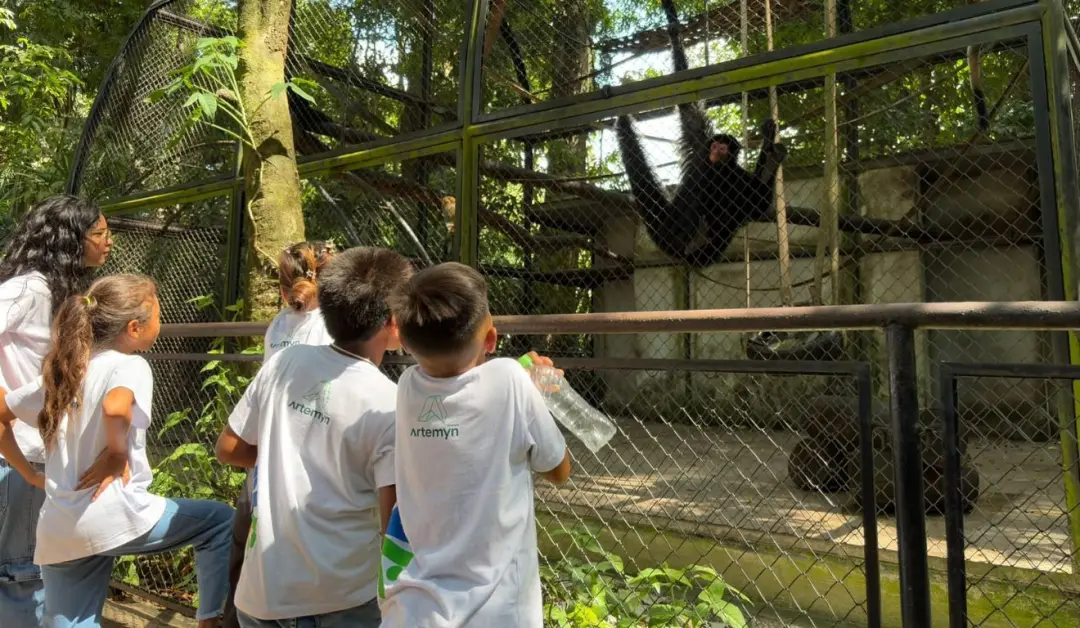 Mais de 30 crianças de comunidades rurais de Barcarena visitaram o Museu Goeldi em Belém para ter contato com fauna e f…
