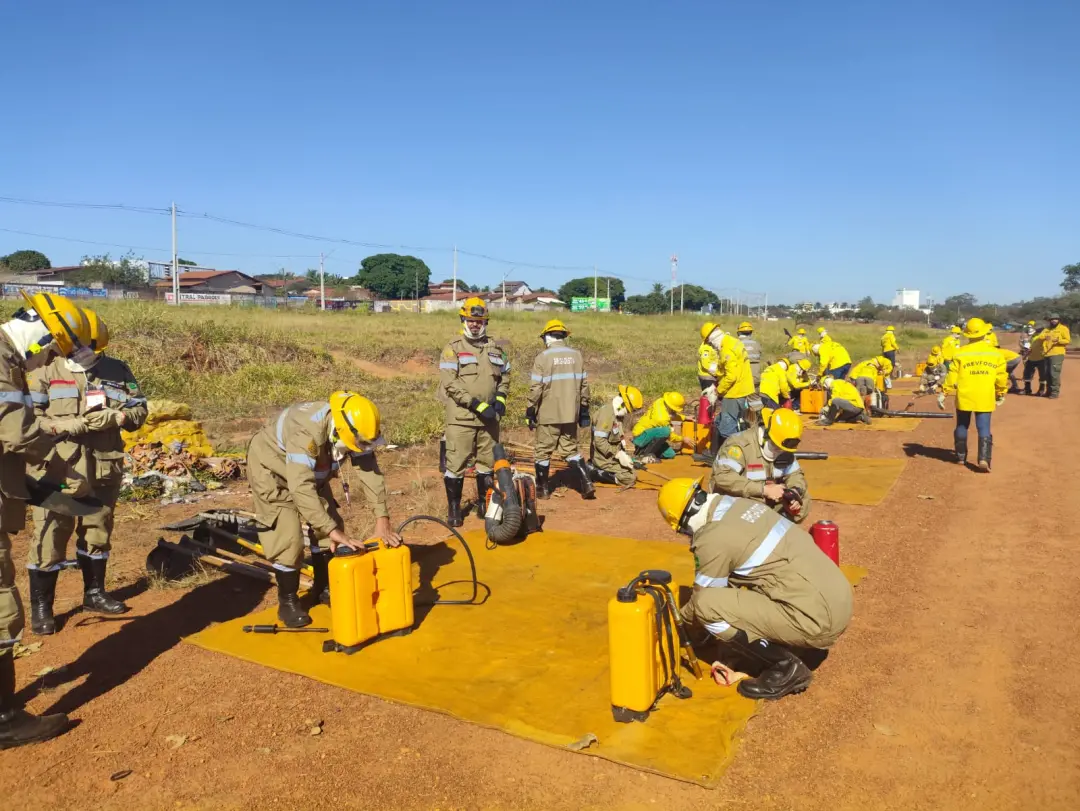 11 incêndios foram combatidos pela Brigada Municipal em parques de Goiânia desde agosto. A operação usa abafadores e ca…