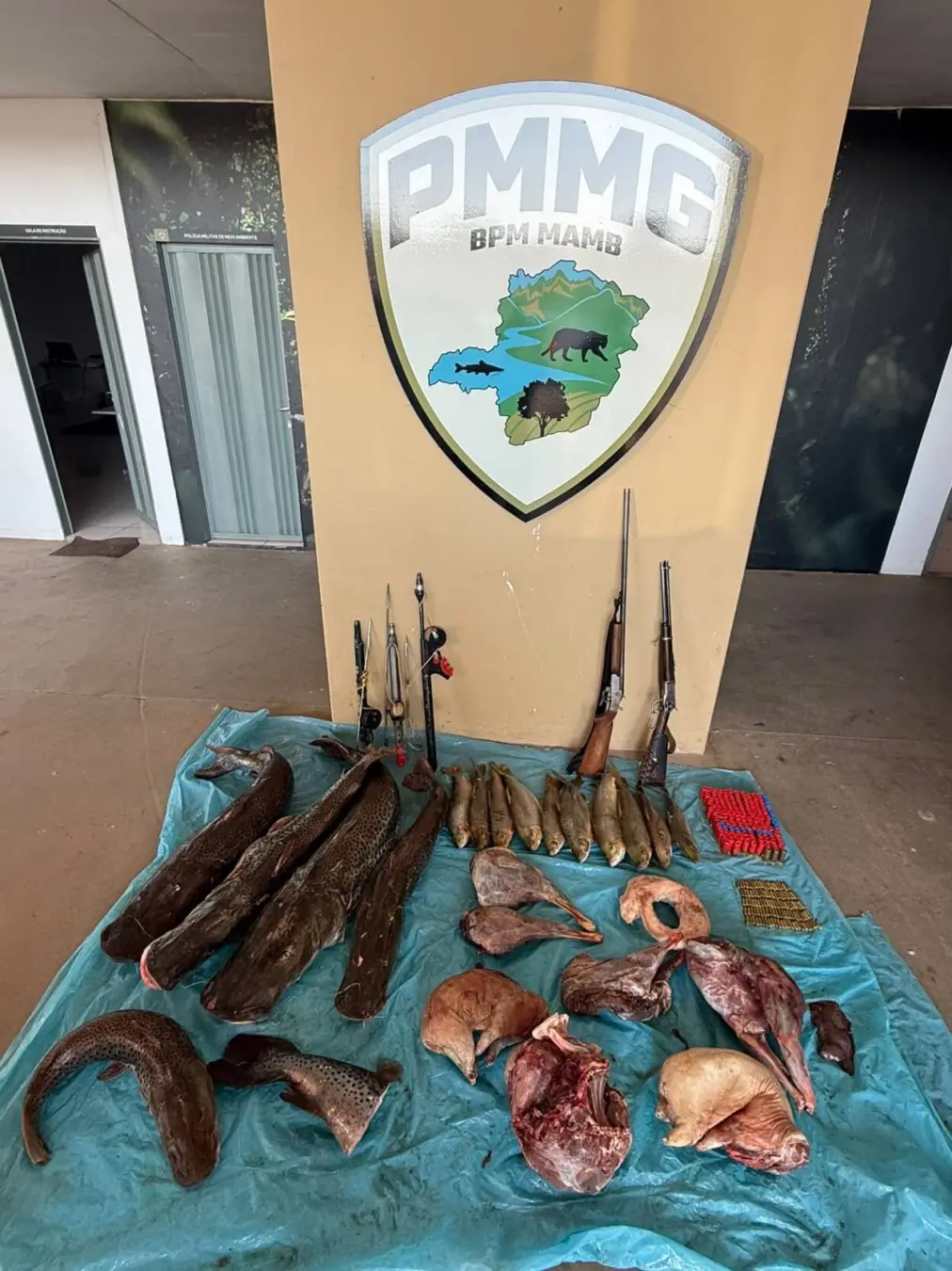 Dois homens foram presos em Urucuia, Norte de Minas, após a PM apreender 39 quilos de carne de paca, cateto e jacaré, a…