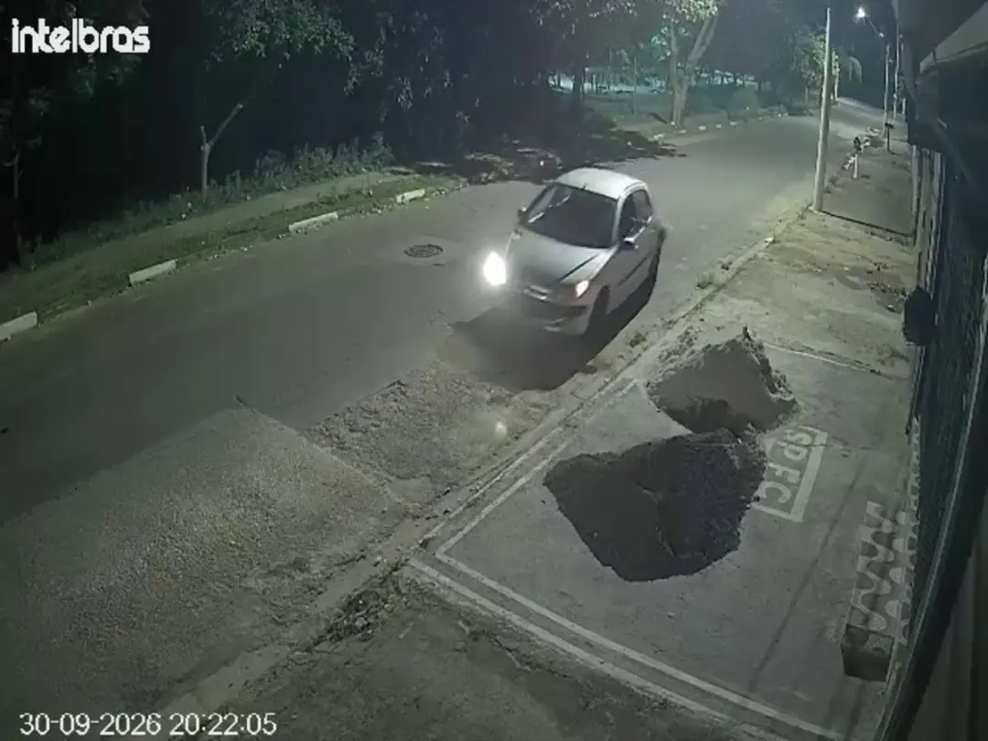 Campinas, SP, teve suspeito localizado depois de um filhote de gato ser jogado da janela de carro na noite de quarta. E…