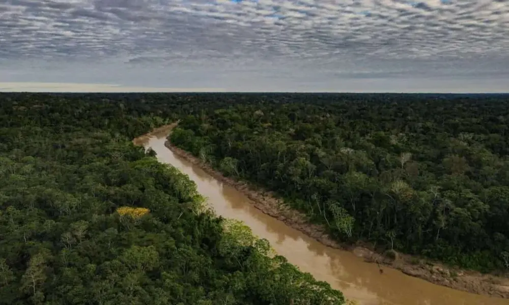 41% dos brasileiros apontam mudanças climáticas como maior ameaça, seguidos por desemprego e retrocesso democrático. É …