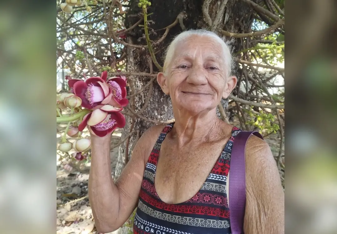 Maria Edileusa Araújo, aos 68 anos, viralizou no TikTok ao dar uma cambalhota em piscina. É lindo ver essa força de que…