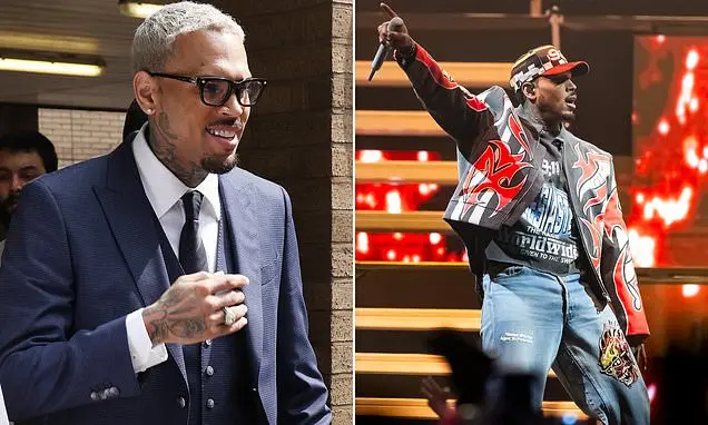 Avila aceitou 9,5 milhões de dólares de Chris Brown para encerrar a batalha judicial após os ferimentos sofridos na cas…