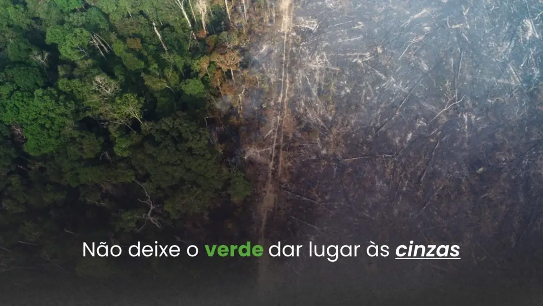 FRAM lança campanha Consciência Limpa Queimadas pra alertar sobre os riscos dos incêndios na Amazônia, com o El Niño au…