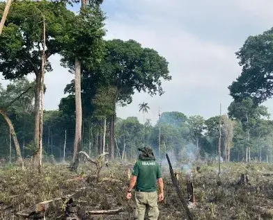 População consumindo o equivalente a 1,73 planeta por ano. Esse ritmo acelera o esgotamento de recursos, elevando a dív…