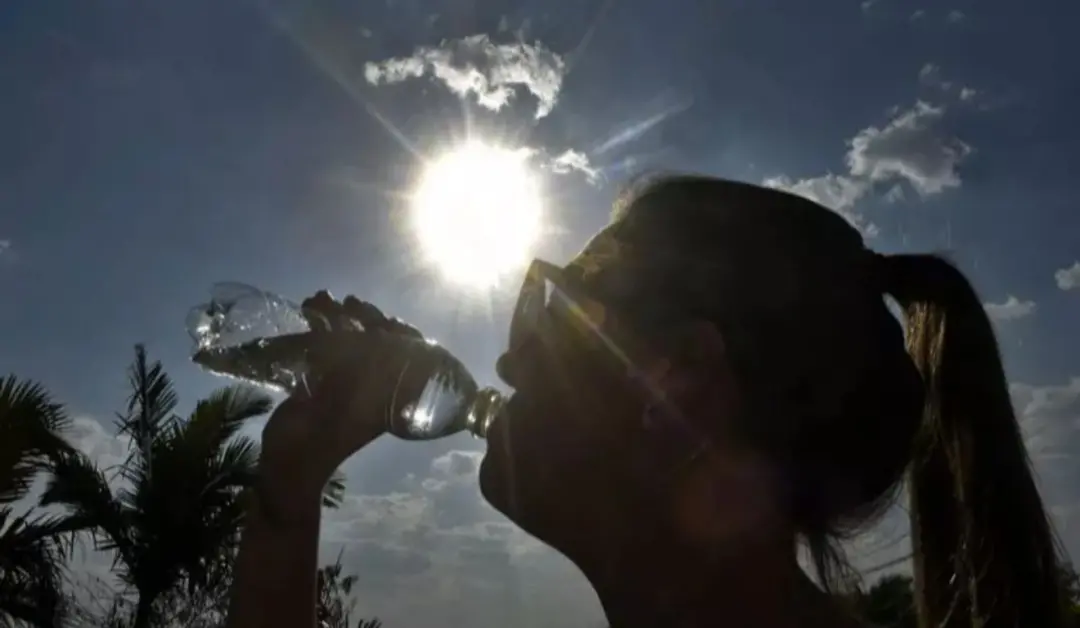 Mais de 22 mil casos relacionados ao calor em eventos de grande porte, dados analisados pela OMS. É fundamental ter est…