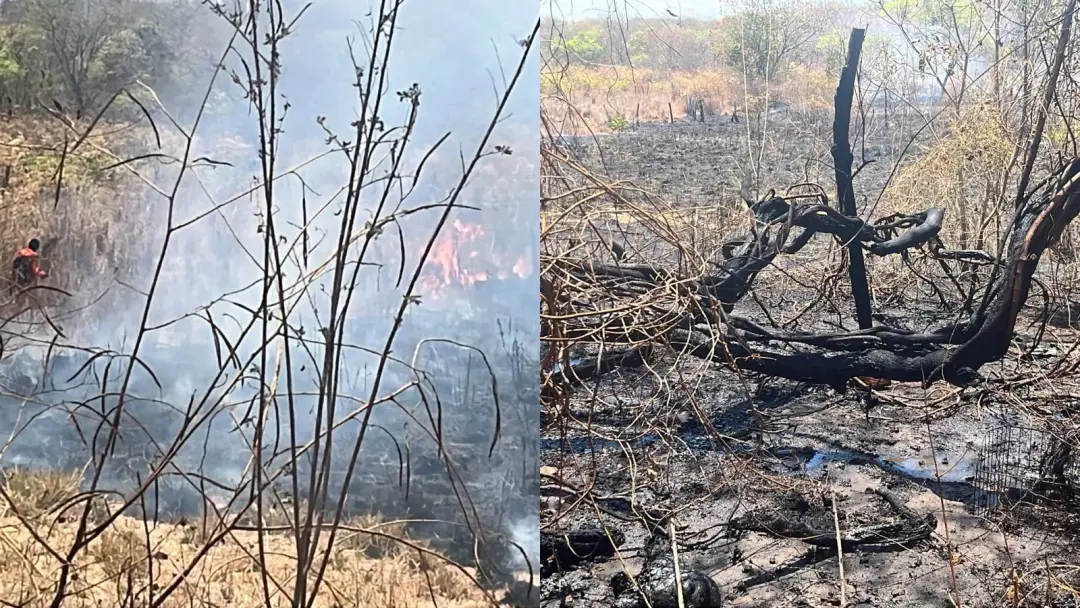 Corrente, Sul do Piauí, viu um incêndio atingir vegetação perto de um restaurante na BR-135. Controlaram as chamas usan…