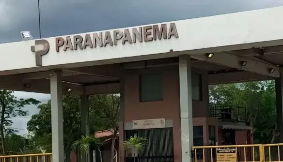 Paranapanema extinguiu R$ 3,94 bilhões de dívida com credores após acordo. A empresa usou recursos como R$ 100 milhões …