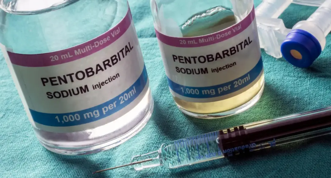 Tennessee, EUA. Christa Pike continuava respirando após receber duas doses de pentobarbital numa tentativa de execução.…