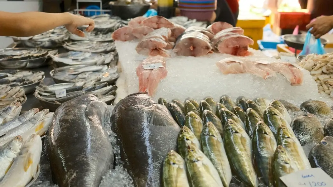 Ricardo Lapeyre abriu o Peixoto Bar em Copacabana e usa peixes frescos da Peixaria do Peixoto, que fica do outro lado d…