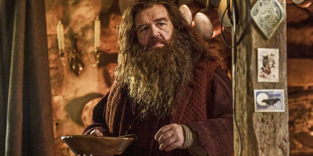 HBO Harry Potter e Hagrid chegando ao streaming dois meses antes do previsto. A química entre o novo Harry Potter e Hag…