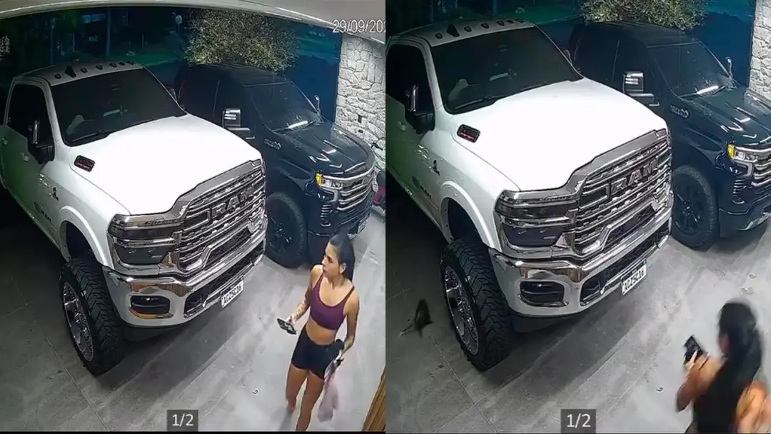 Ana Castela encontrou um gambá na garagem e saiu correndo, chamando o bicho de criatura. É engraçado como a imagem da f…