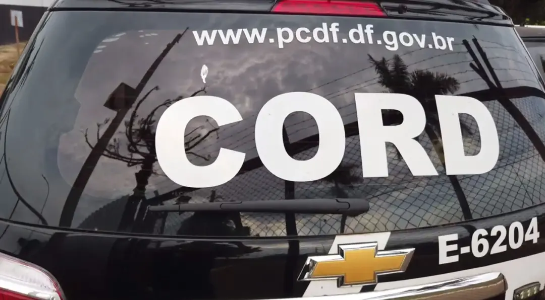 Cerca de 6,7 toneladas de drogas foram destruídas pela Polícia Civil do Distrito Federal em uma operação de incineração…