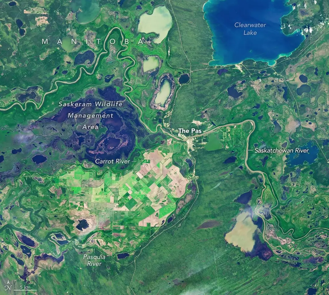 Um ilha agrícola no Delta do Rio Saskatchewan, área mais ao norte de Manitoba, mostra campos retilíneos cortando o curs…