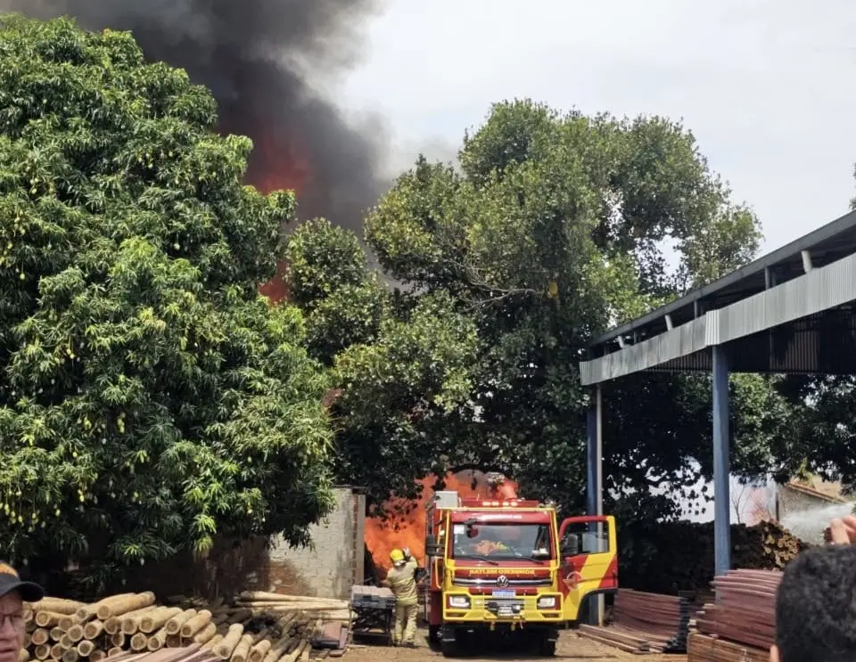 Incêndio na madeireira de Caçu atingiu pilhas de madeira na Avenida Idelfonso Carneiro. É sério o risco de material com…