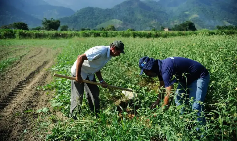 Lei 15.526 torna obrigatório e livre de contingenciamento o apoio ao seguro rural e viabiliza o Fundo Catástrofe. É um …