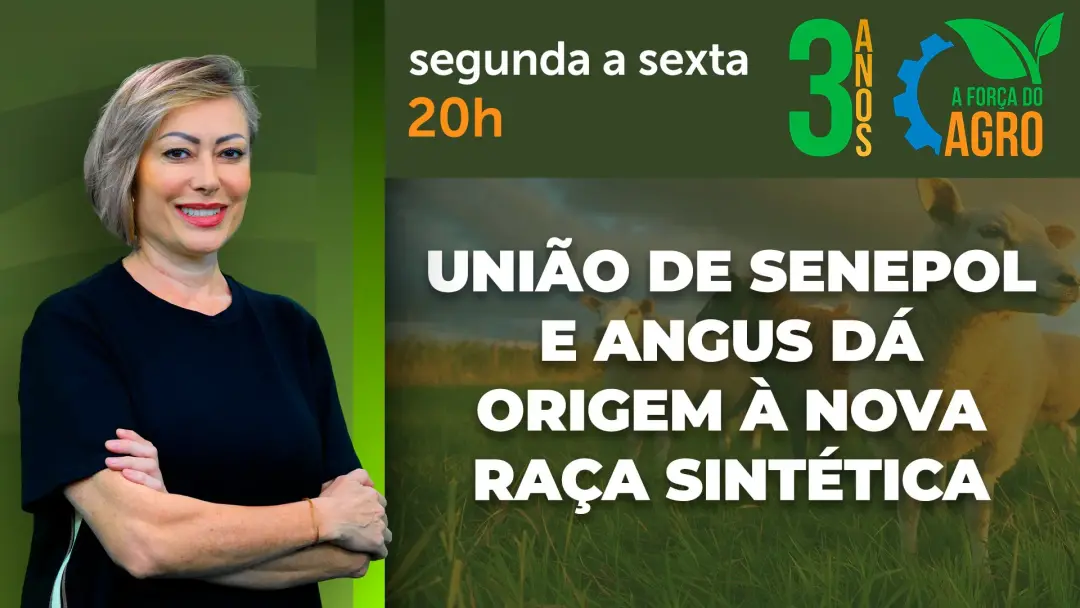 Joice Maffezzolli apresenta em A Força do Agro o composto genético da raça Senangus, criada cruzando Senepol e Aberdeen…