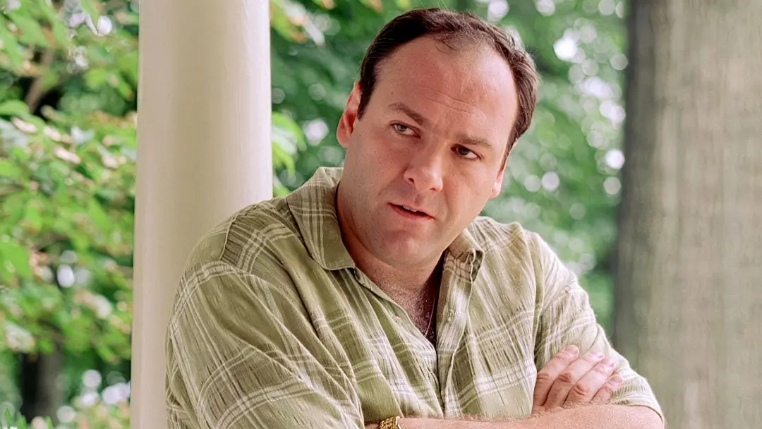 Sete series de crime da HBO foram apontadas como perfeitas, sem falhas. A plataforma consegue transformar a vida do cri…