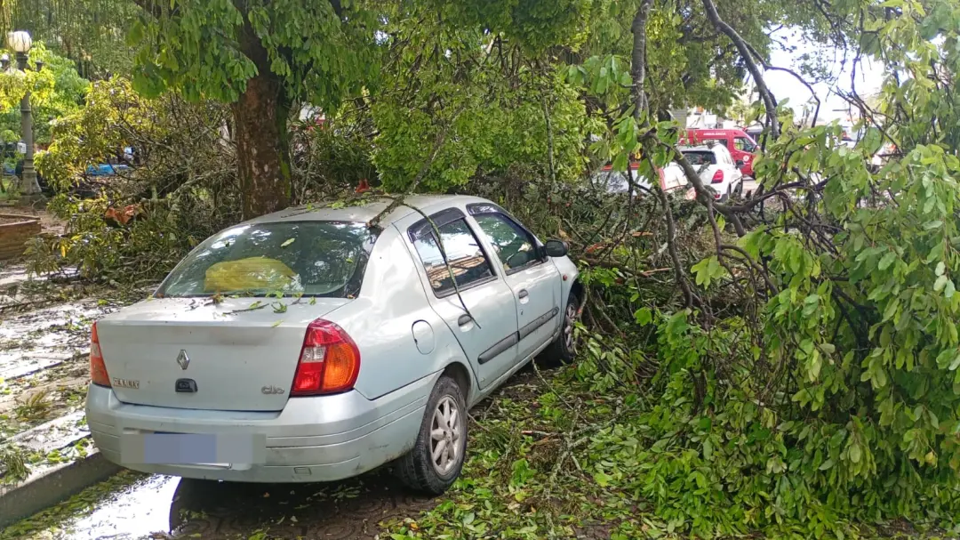 Árvore caiu sobre dois carros no Jardim de Cima, em Valença, durante temporal. É preocupante ver o risco que o tempo tr…