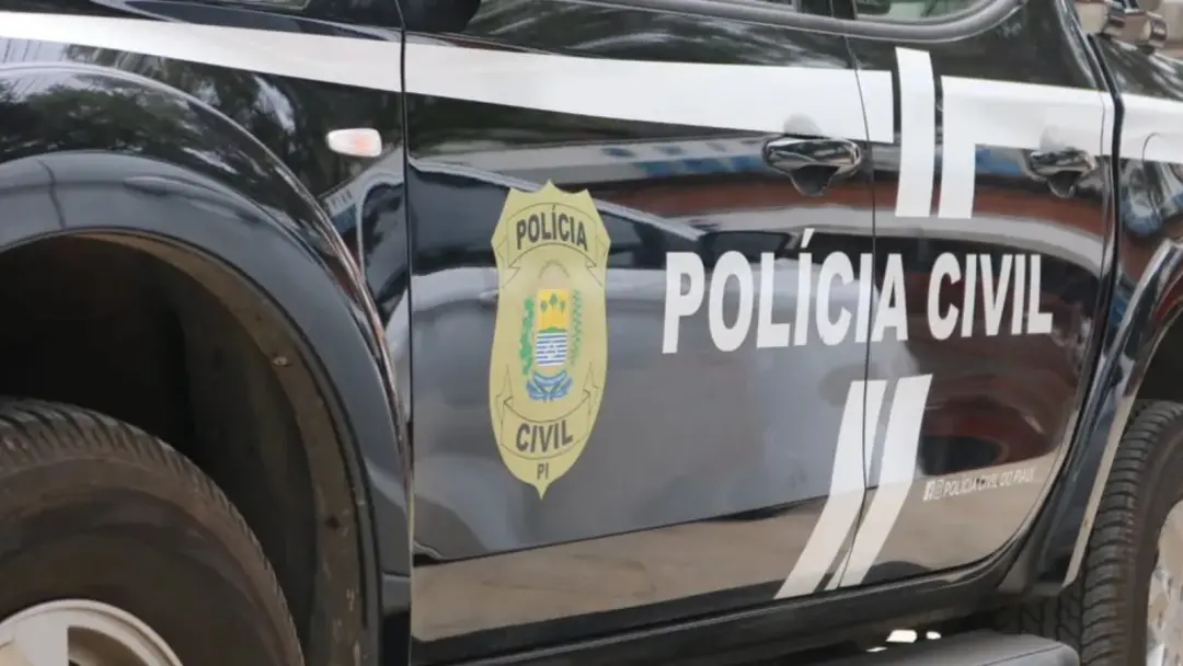 Empresário foi preso em Teresina por golpes em vendas de material de construção. Ele recebeu pagamentos de até R$ 7 mil…