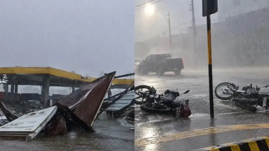 Ventos de 86 km h e chuva forte derrubaram árvore e fio de alta tensão em Jataí GO. Estragos por causa do temporal semp…